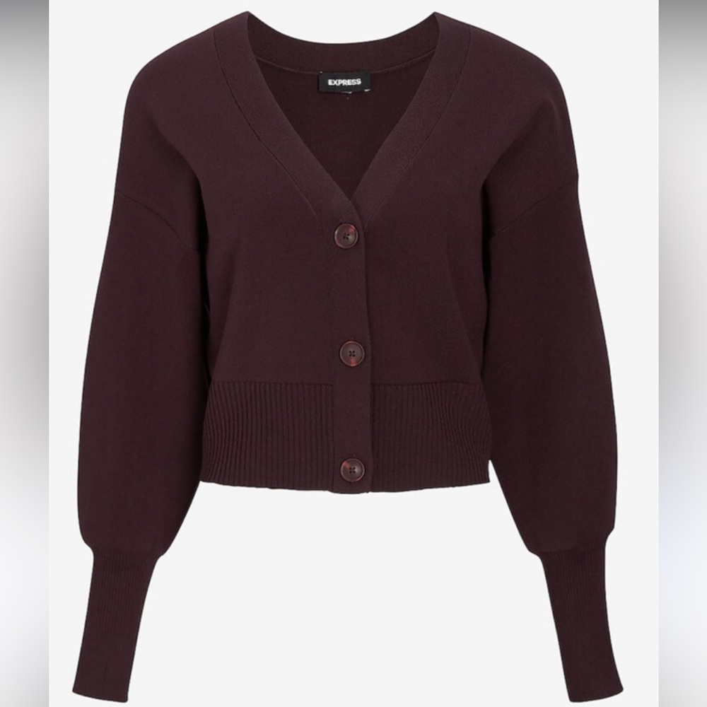 Express Women's Deep Purple Cardigan